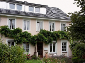 Unterm Blauregen
